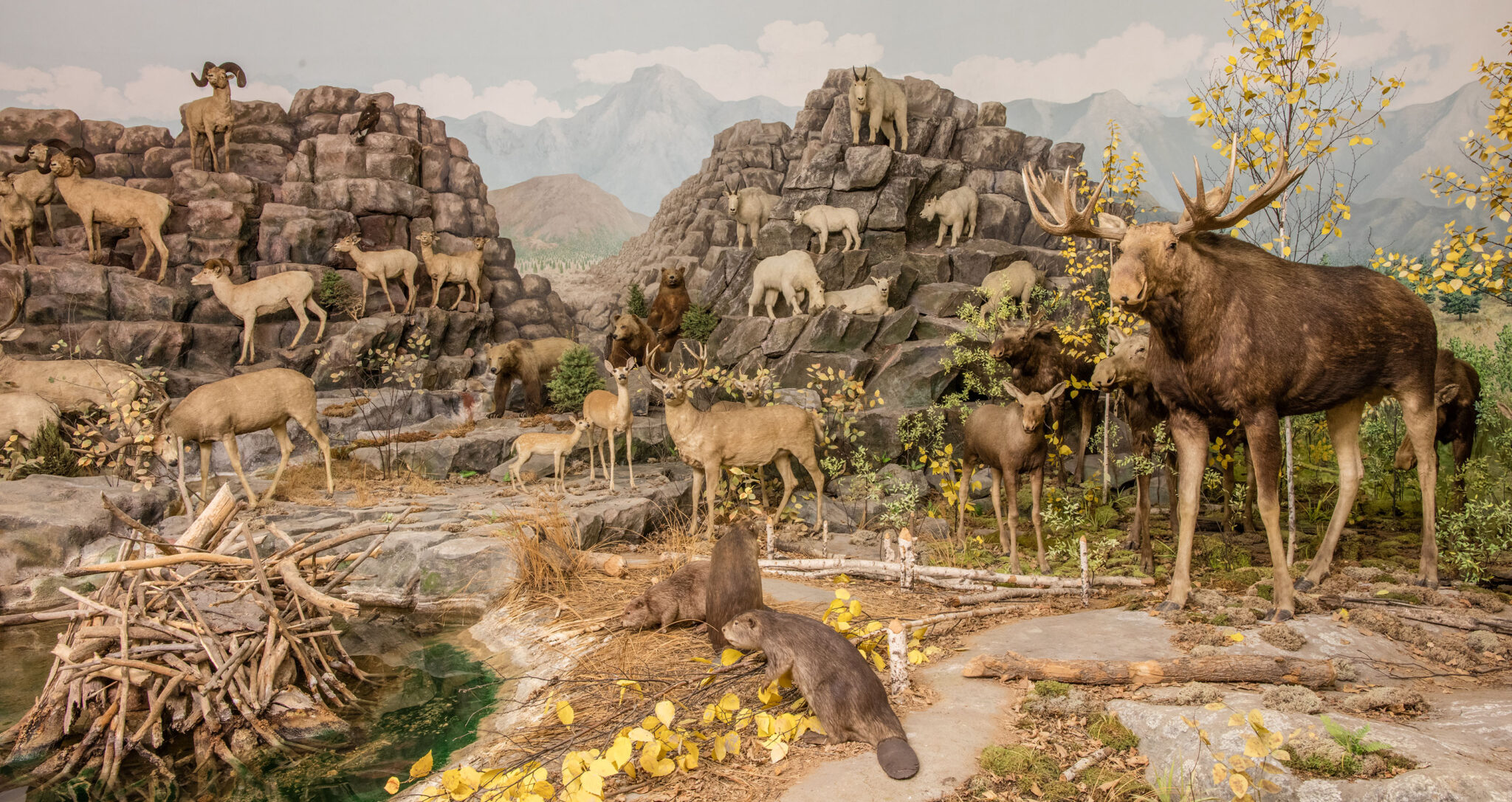 Panorama-main-Rick-Mitchell-2048x1087
